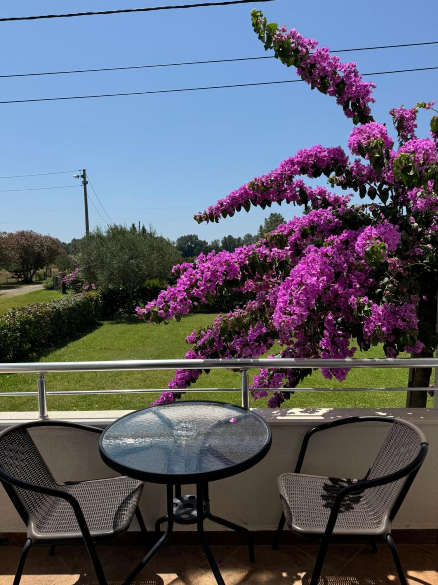אולסינץ' Sunrise House Apartments מראה חיצוני תמונה