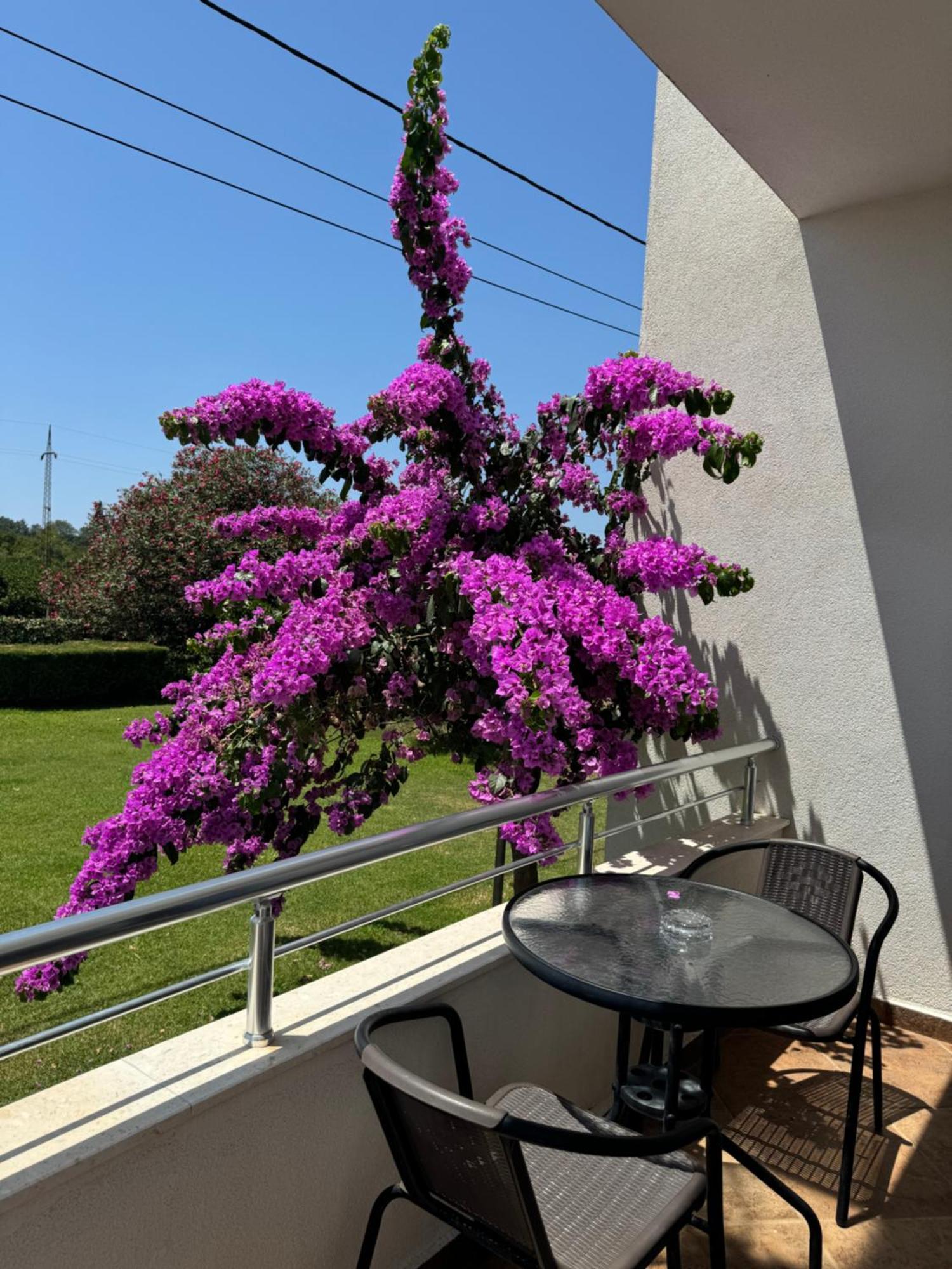 אולסינץ' Sunrise House Apartments מראה חיצוני תמונה
