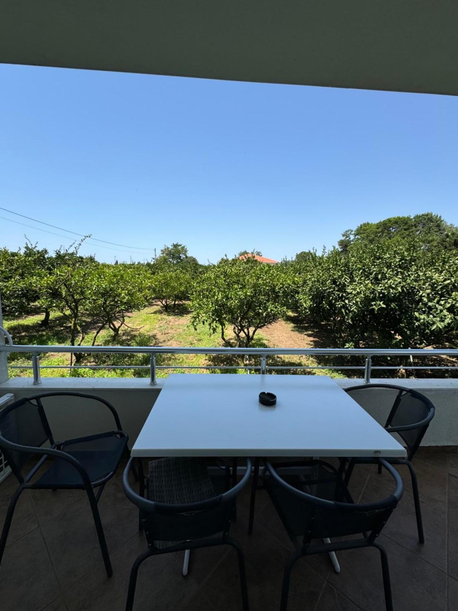 אולסינץ' Sunrise House Apartments מראה חיצוני תמונה