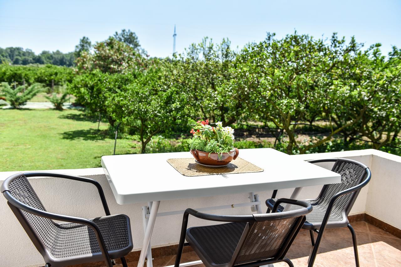 אולסינץ' Sunrise House Apartments מראה חיצוני תמונה