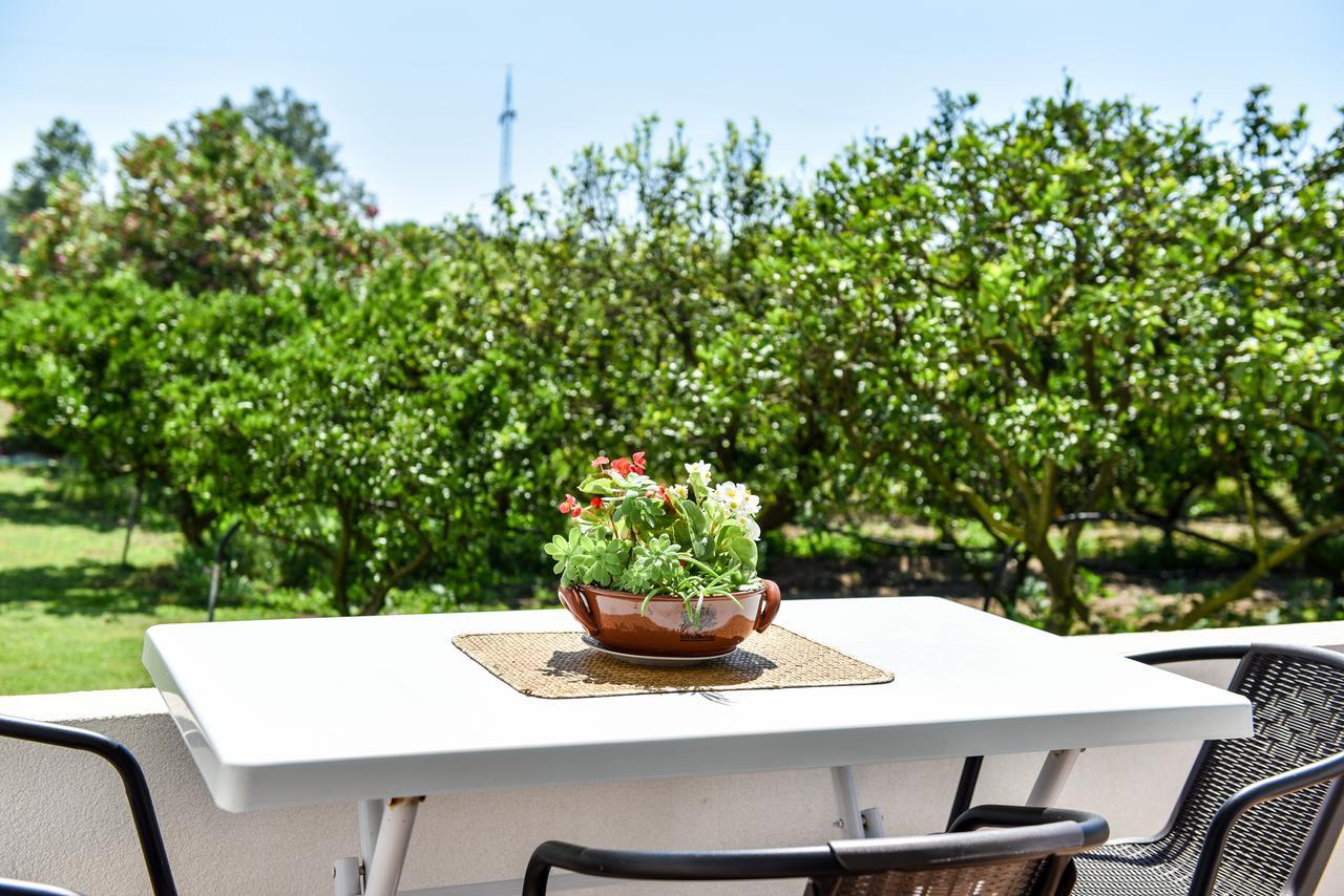 אולסינץ' Sunrise House Apartments מראה חיצוני תמונה