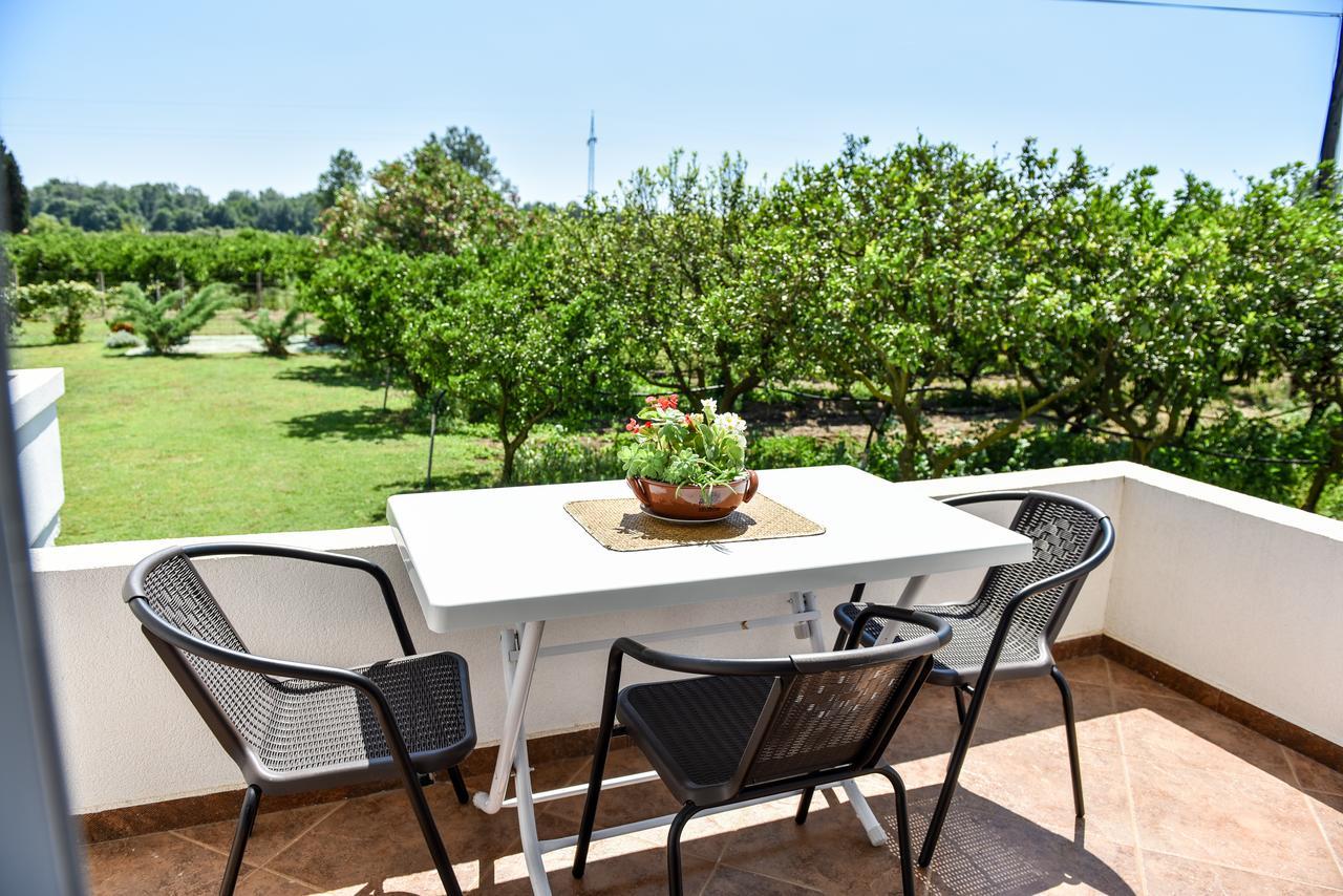 אולסינץ' Sunrise House Apartments מראה חיצוני תמונה